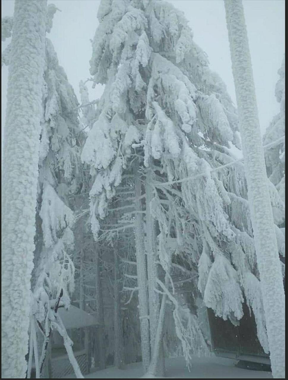 "Різьбярська Садиба" Slavske Exterior foto