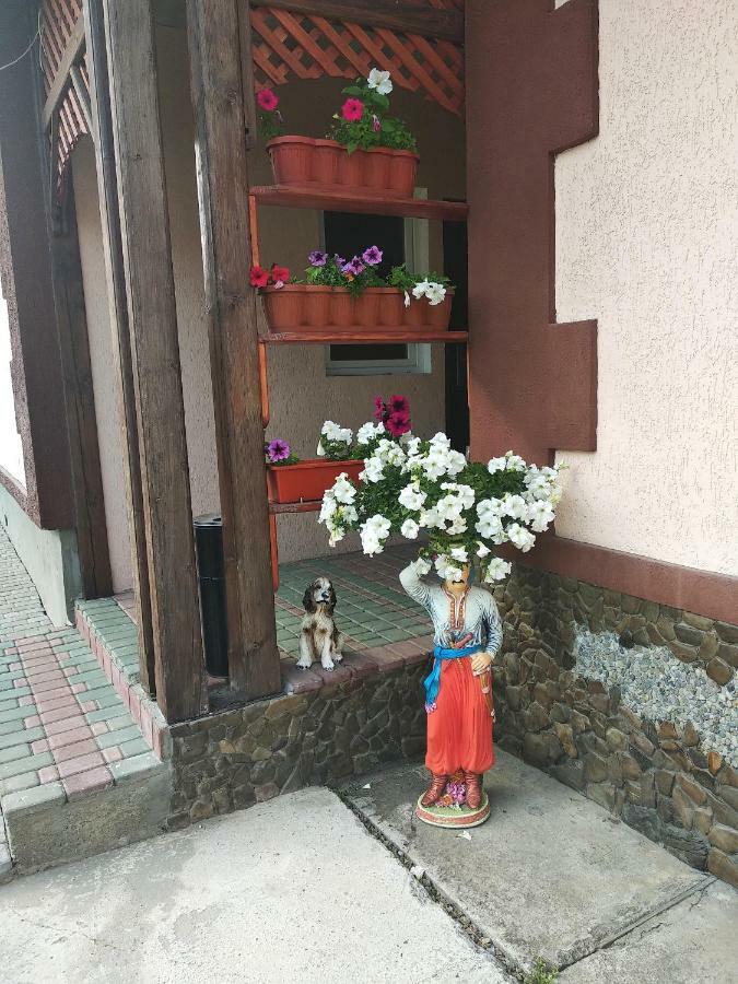 "Різьбярська Садиба" Slavske Exterior foto